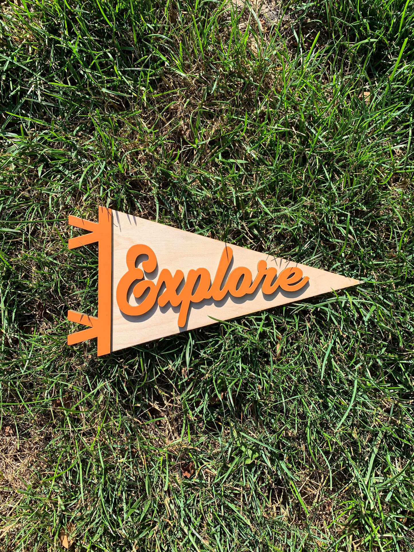 Explore 3D Pennant
