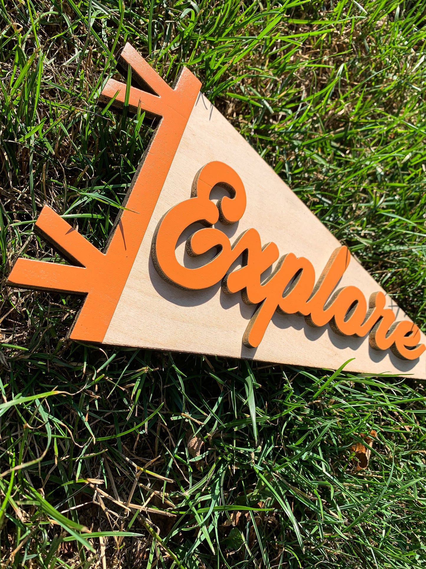 Explore 3D Pennant